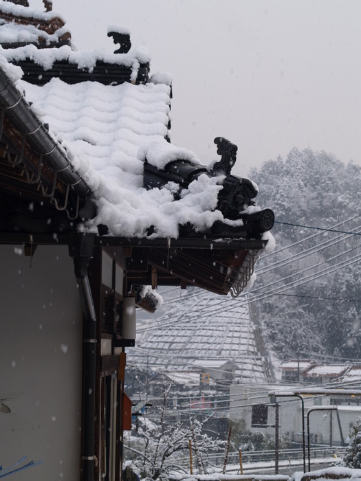 陽が射しながら雪の降る。。_c0116915_1915371.jpg