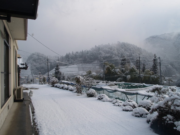 陽が射しながら雪の降る。。_c0116915_19215131.jpg