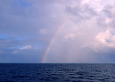 a0043520_2155487.jpg