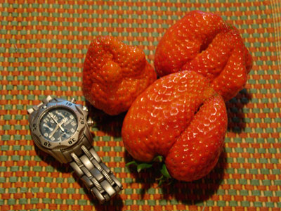 いちご、イチゴ、苺！巨大です。_f0047524_1052150.jpg