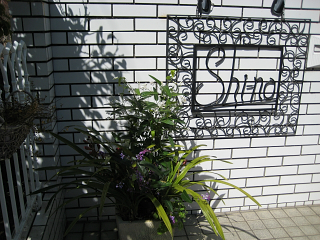 e0090926_2350583.jpg