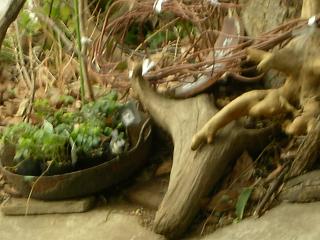 赤い怪獣_c0102228_19275686.jpg