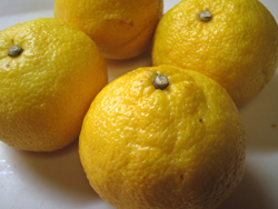 f0038336_1115289.jpg