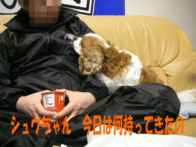 c0136838_2312973.gif