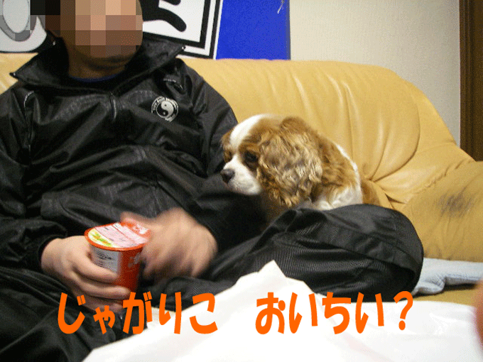 c0136838_2317298.gif
