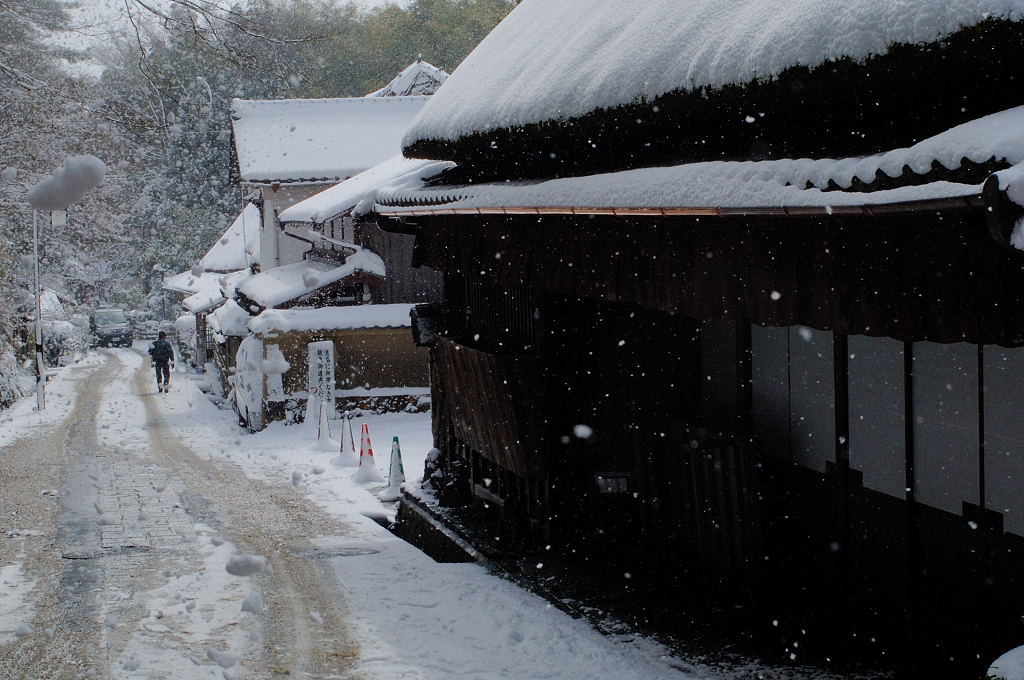 2月24日の京都・雪~駅~サル_d0148541_2147847.jpg