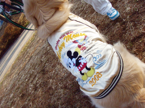 c0039145_2149048.jpg