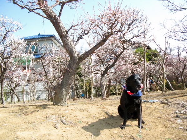 c0039145_228249.jpg