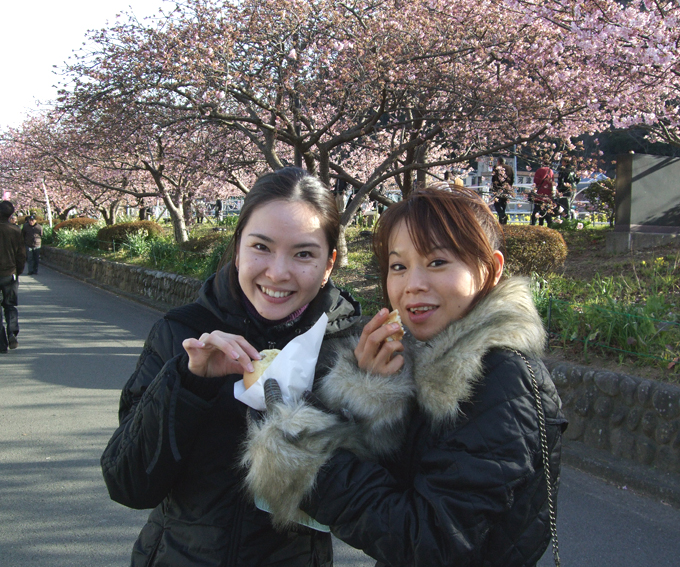 河津桜への小旅行☆_e0060452_81394.jpg