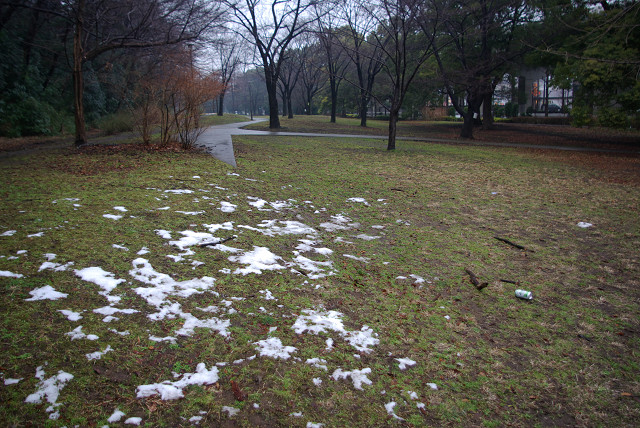 板橋・赤塚公園　　濡れて冷たい_c0080357_1359840.jpg