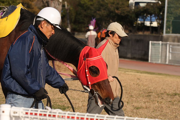 2008年2月24日（日） 高知競馬 10R 月光仮面登場の日特別_a0077663_18273655.jpg