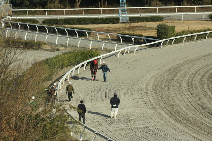 2008年2月24日（日） 高知競馬 10R 月光仮面登場の日特別_a0077663_18275539.jpg