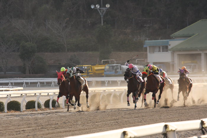 2008年2月24日（日） 高知競馬 10R 月光仮面登場の日特別_a0077663_18282434.jpg