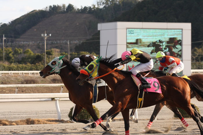 2008年2月24日（日） 高知競馬 10R 月光仮面登場の日特別_a0077663_18283622.jpg