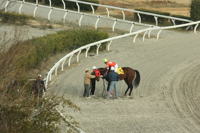 2008年2月24日（日） 高知競馬 10R 月光仮面登場の日特別_a0077663_1828437.jpg