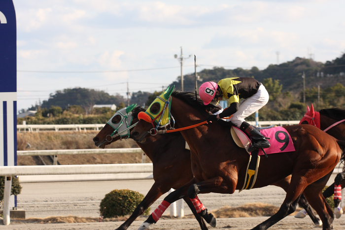 2008年2月24日（日） 高知競馬 10R 月光仮面登場の日特別_a0077663_18284681.jpg