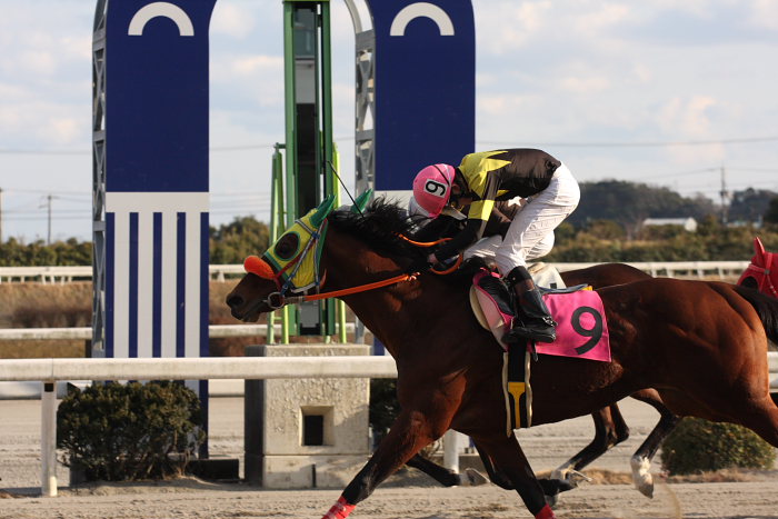 2008年2月24日(日) 高知競馬 10R 月光仮面登場の日特別_a0077663_18285637.jpg