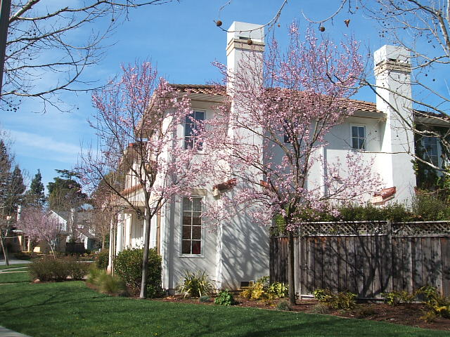 c0115366_18552486.jpg