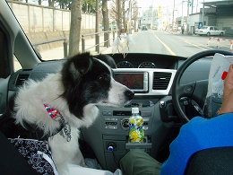 b0003270_15185896.jpg