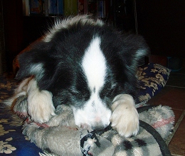 b0003270_15253748.jpg