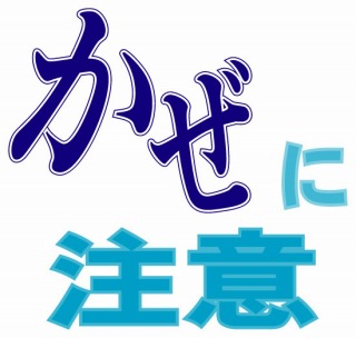 インフルエンザのピークは過ぎたと言いますが。_f0118184_9204023.jpg