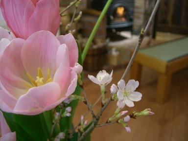 梅の花、桃の花。_a0045293_11364556.jpg