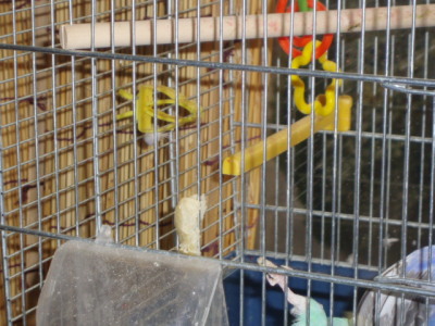 c0086895_1137793.jpg