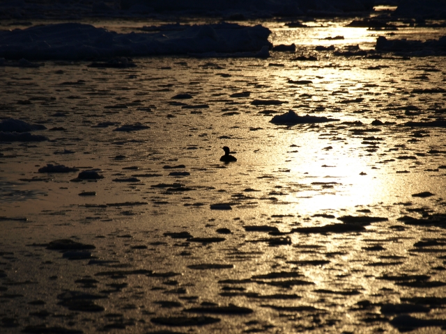 f0020302_222448.jpg