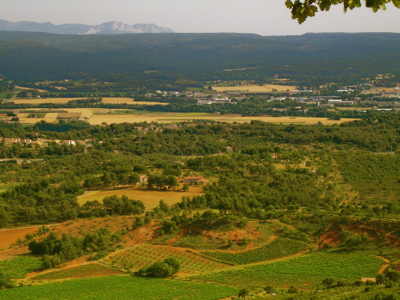 d0135907_19313584.jpg