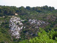 d0135907_1935517.jpg