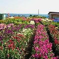 b0087409_14182652.jpg
