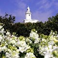 b0087409_1418837.jpg