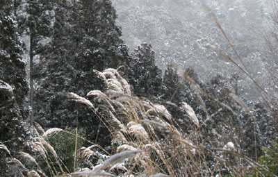 落柿舎あたり 雪景色_e0048413_2225243.jpg