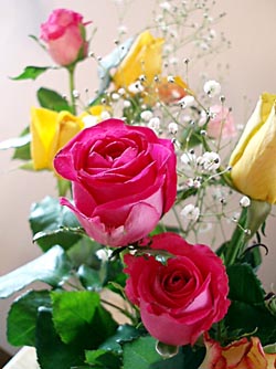c0085514_23464459.jpg