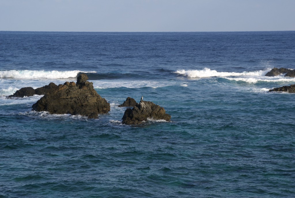 d0053930_63069.jpg