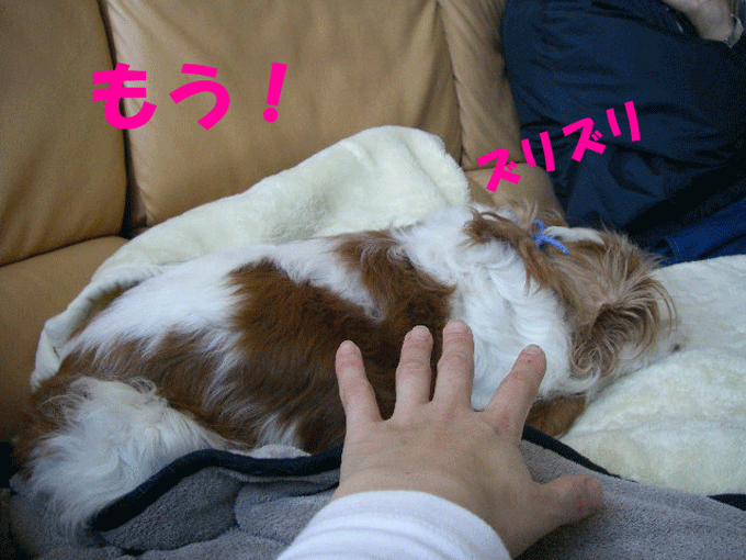 c0136838_21525521.gif