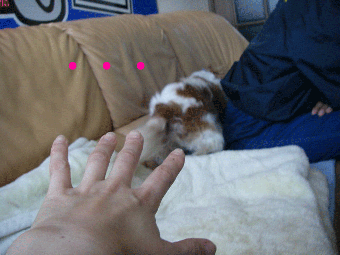 c0136838_21585760.gif