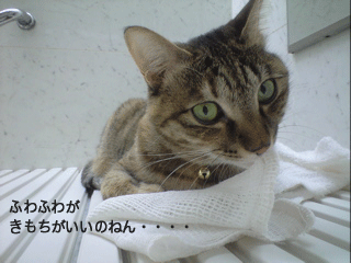 f0116546_18105940.gif