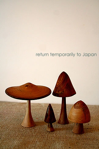 一時帰国へ・・・_d0124248_16244922.jpg