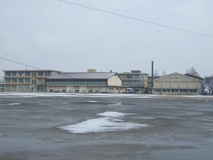 f0103062_25356.jpg