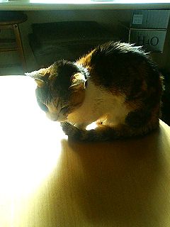ボーイズ_f0054677_994231.jpg
