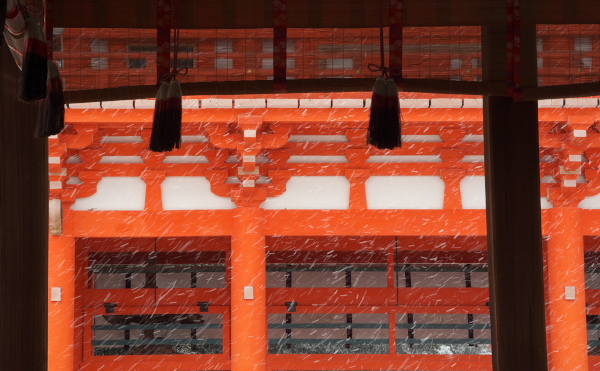 雪の下鴨神社_c0036080_2258211.jpg