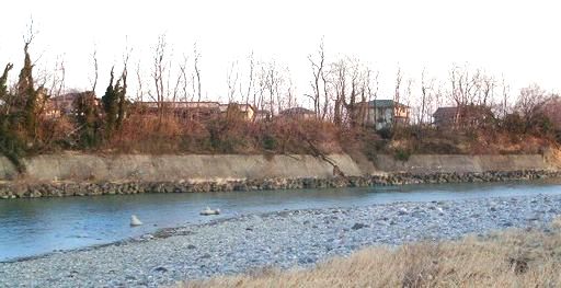 c0157482_192215.jpg