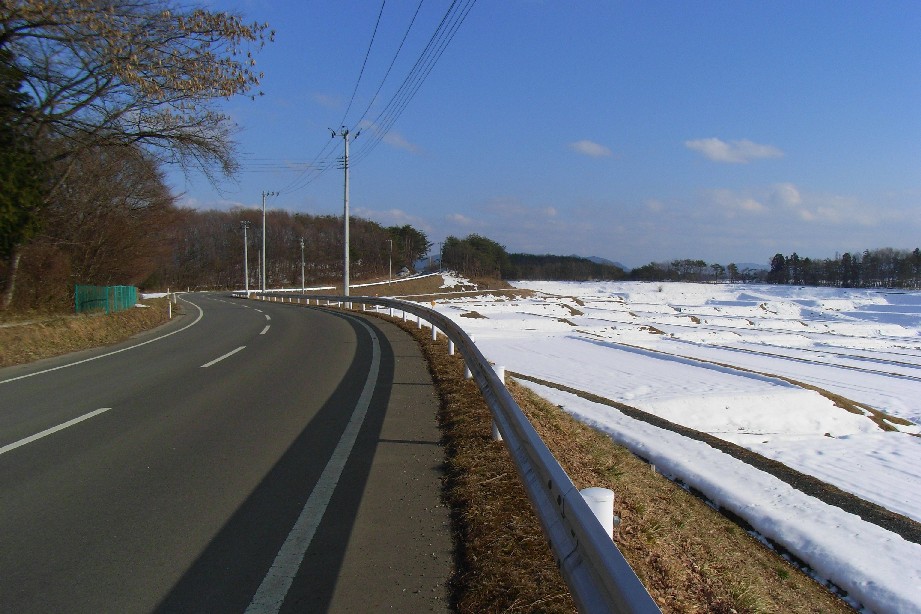 白鳥を求める旅　『農道へ』_c0108388_19464562.jpg