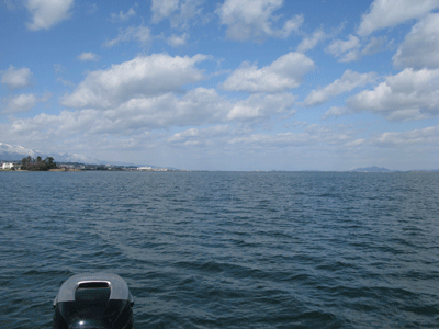 a0097491_21593828.gif