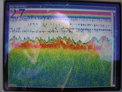 a0097491_2210225.gif