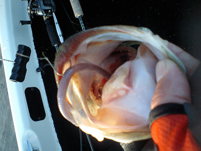 a0097491_2241487.gif