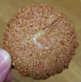 c0035297_2252569.jpg
