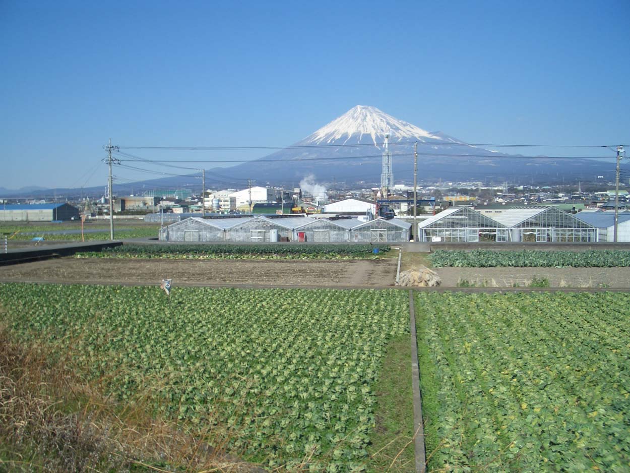 潤井川堤防遊歩道と伝法沢川調整池の整備工事が進んでいます_f0141310_21504277.jpg