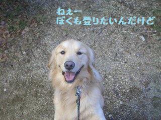 ちょこっとハイキング_e0136815_8492766.jpg